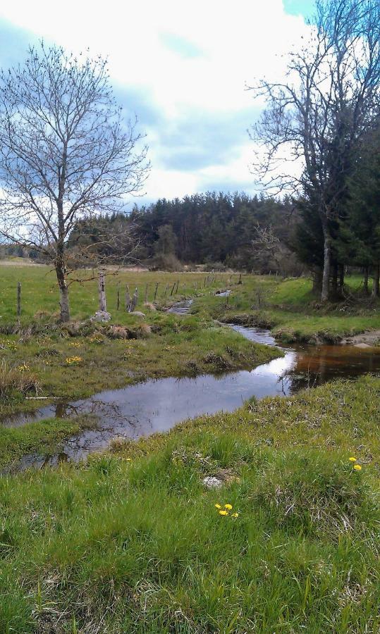 Le Bos Clard Villa Félines Eksteriør bilde